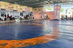 Junior Punjab Wrestling Championship at Village Lang District Patiala 2026